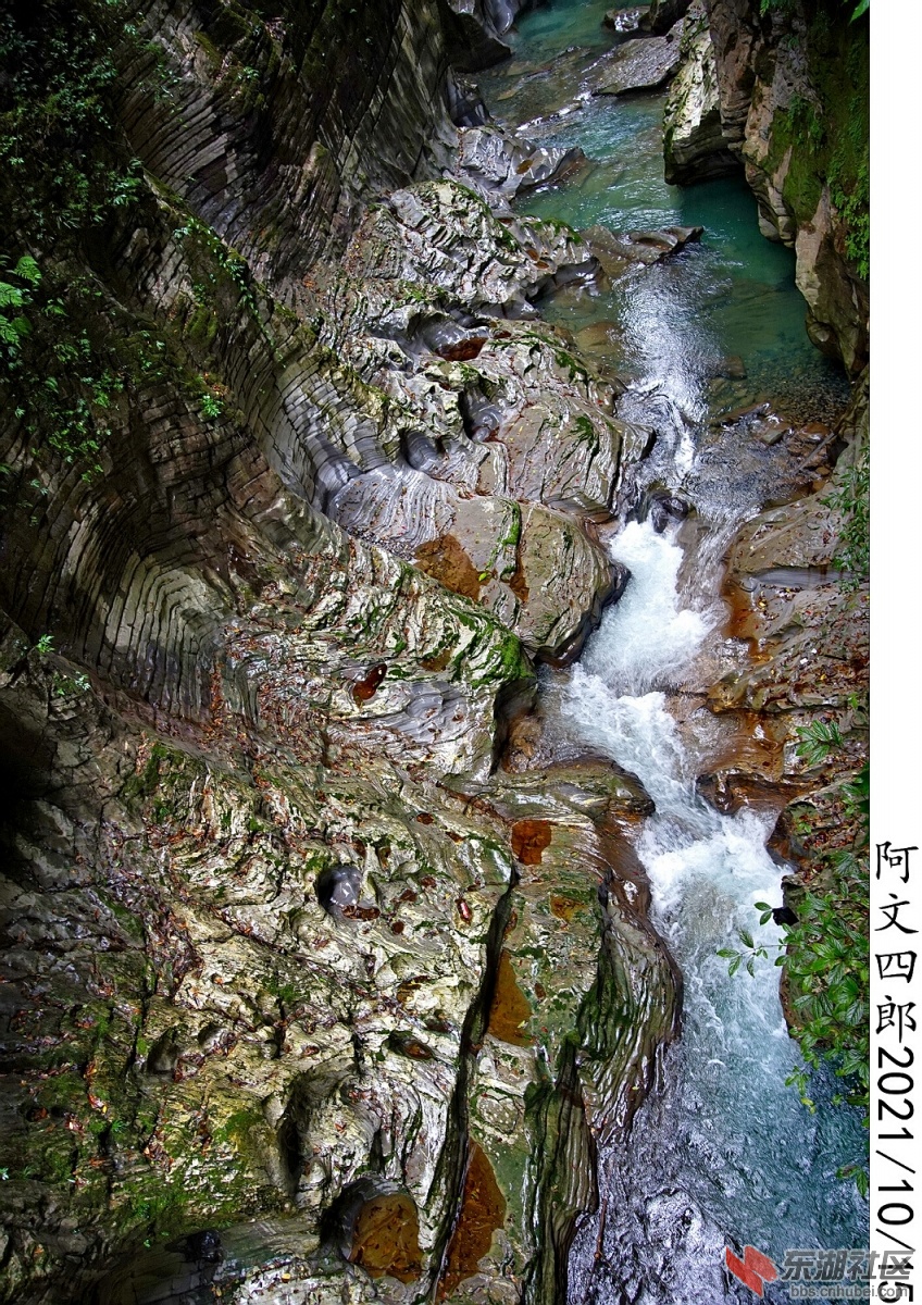 DSC00204.jpg