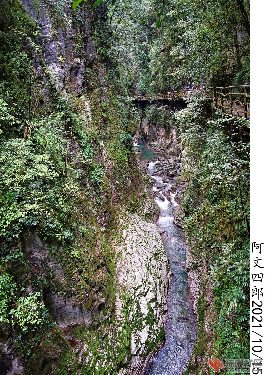 DSC00208.jpg