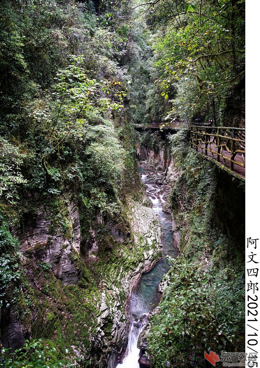DSC00210.jpg