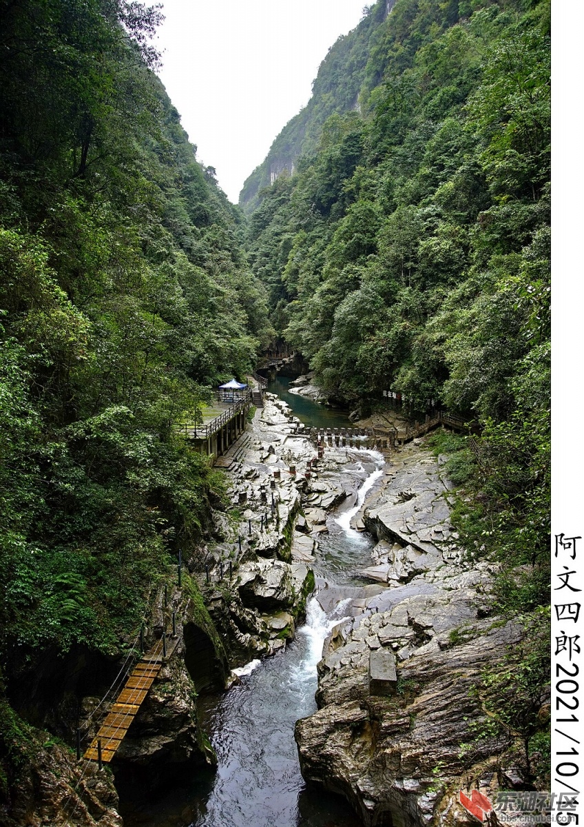 DSC00212.jpg