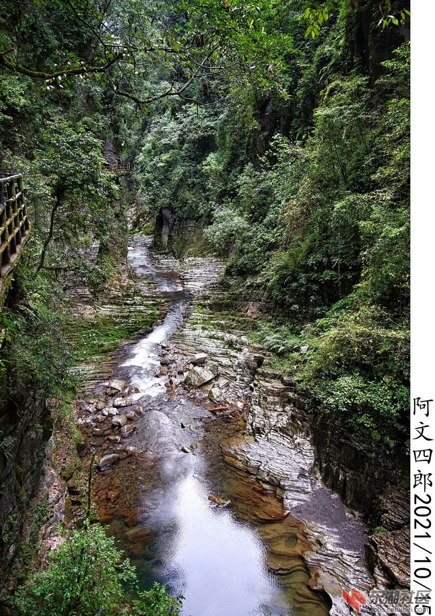 DSC00219.jpg