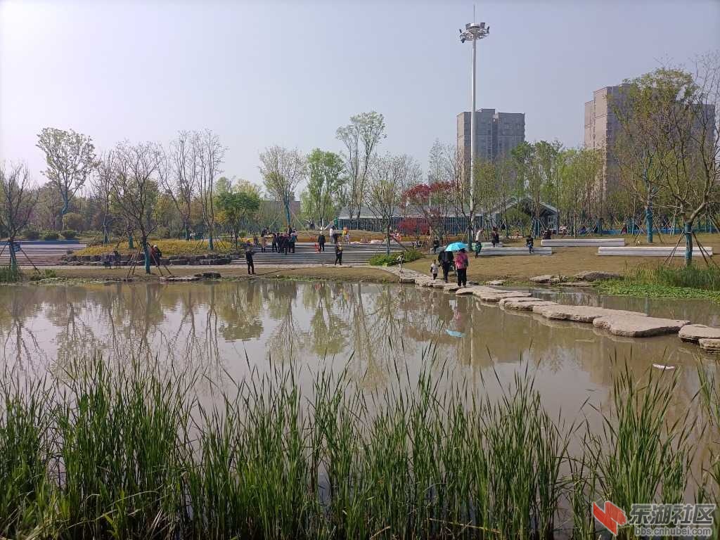 IMG_20220403_094646.jpg