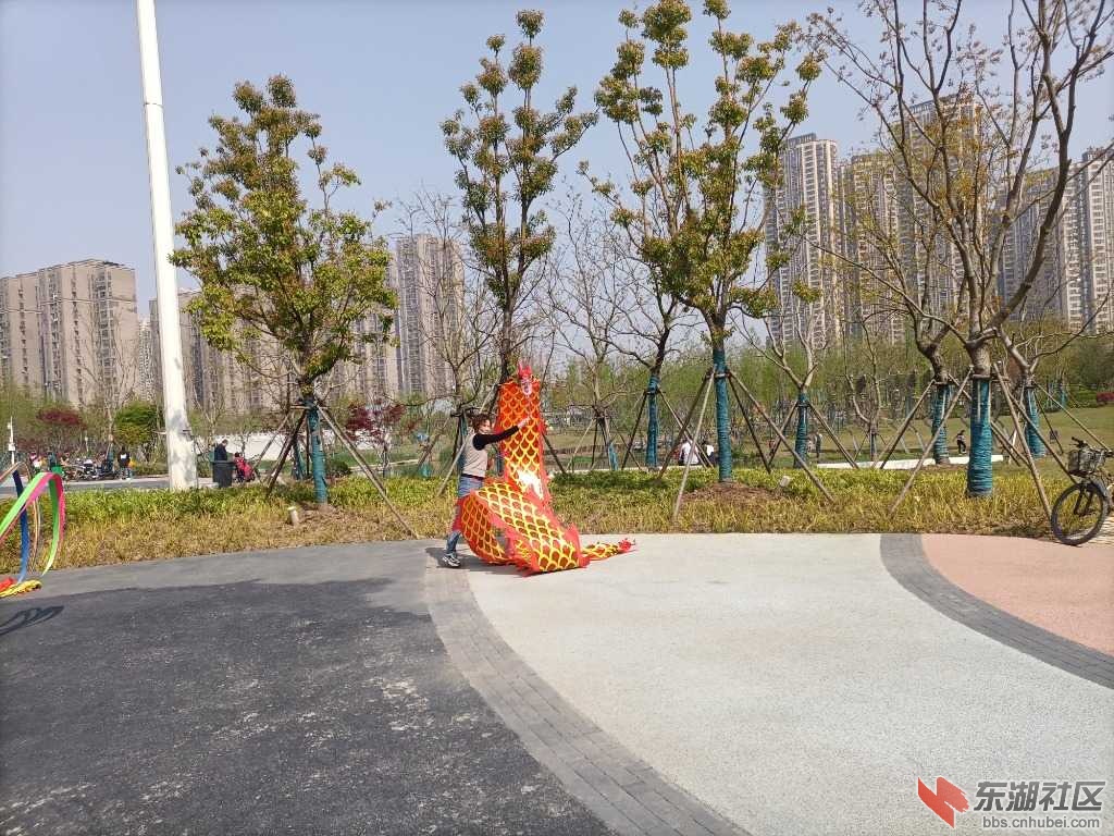 IMG_20220403_095339.jpg