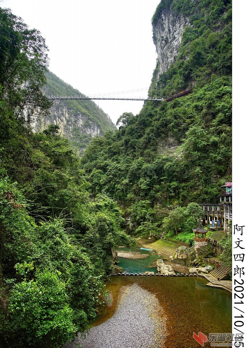 DSC00228.jpg
