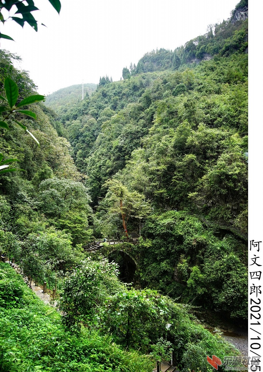DSC00252.jpg