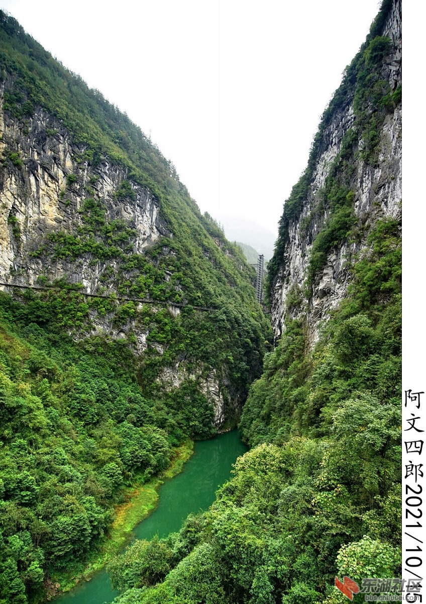 DSC00264.jpg