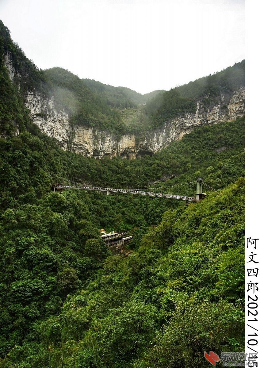 DSC00282.jpg