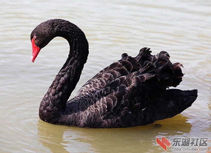 psc (18)_副本.jpg