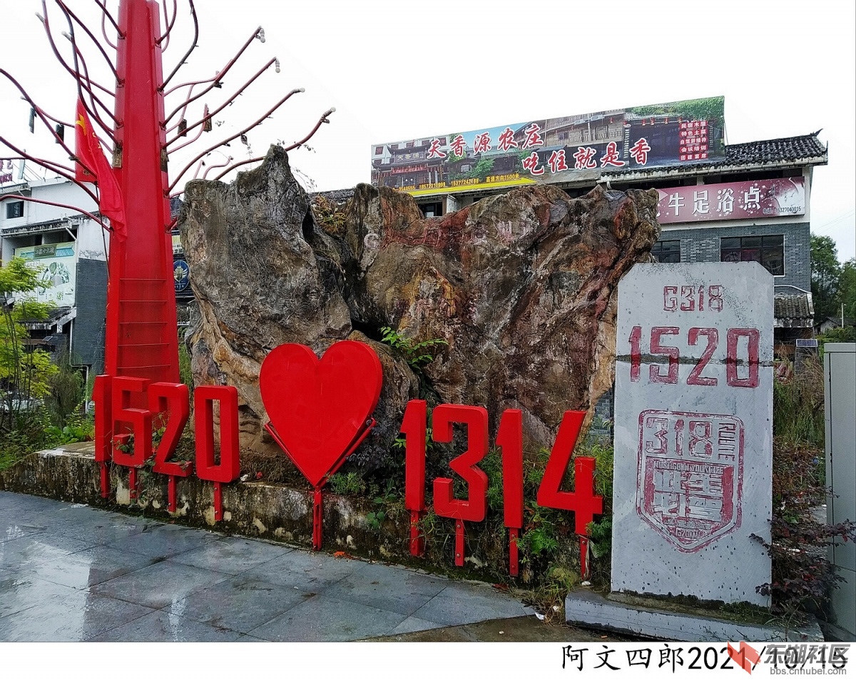 IMG_20211015_124836.jpg