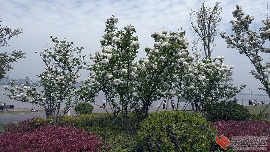 2    DSC00565 拷贝A.jpg