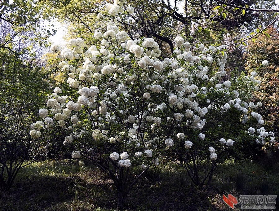 8    DSC00515 拷贝 2.jpg