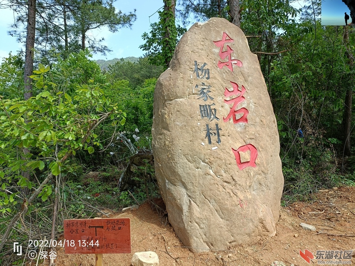 IMG20220418134435.jpg