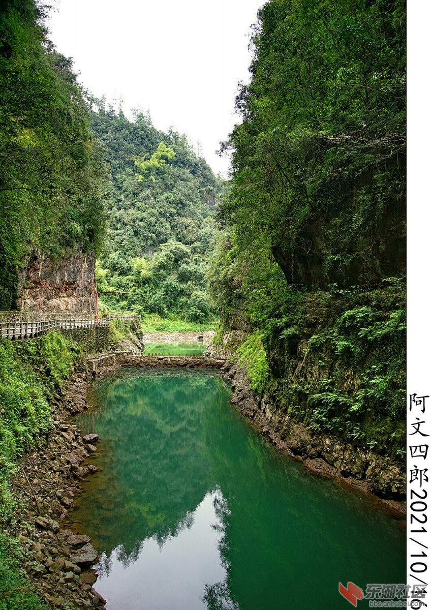 DSC00067.jpg