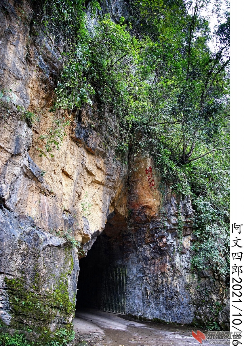 DSC00088.jpg