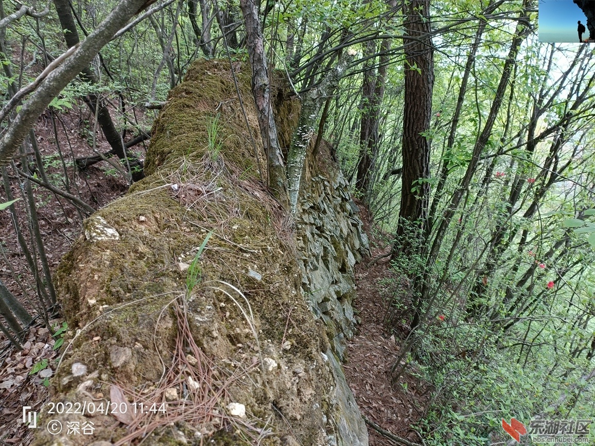 IMG20220420114426.jpg