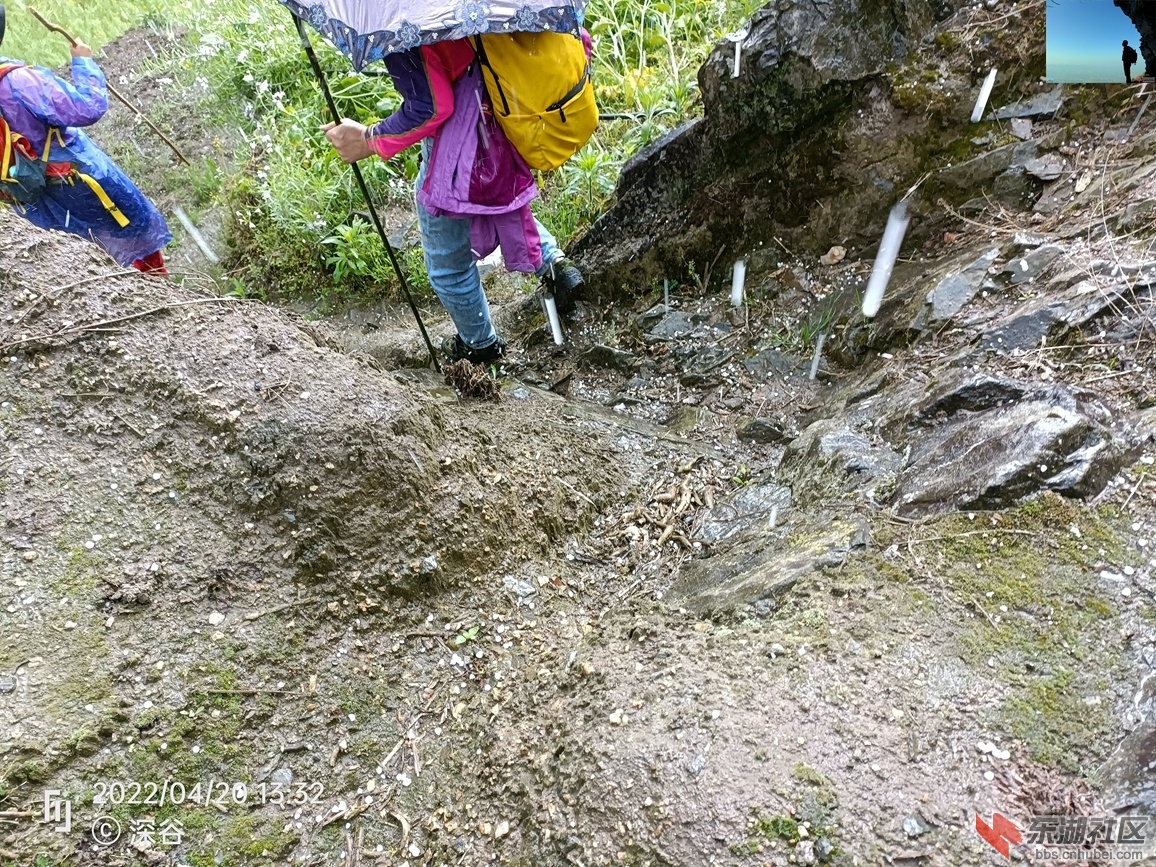 IMG20220420133230.jpg