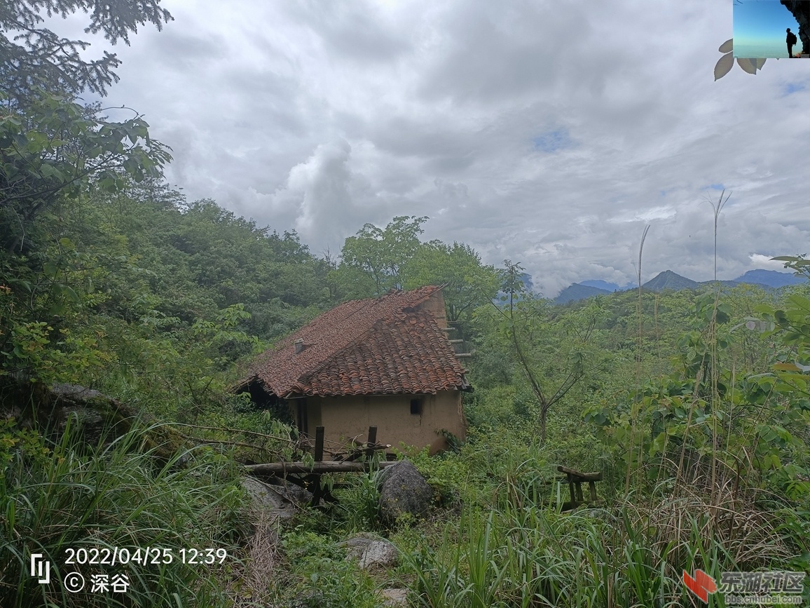 IMG20220425123918.jpg