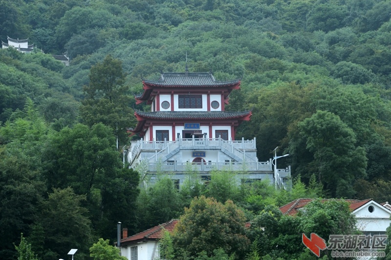 05.jpg