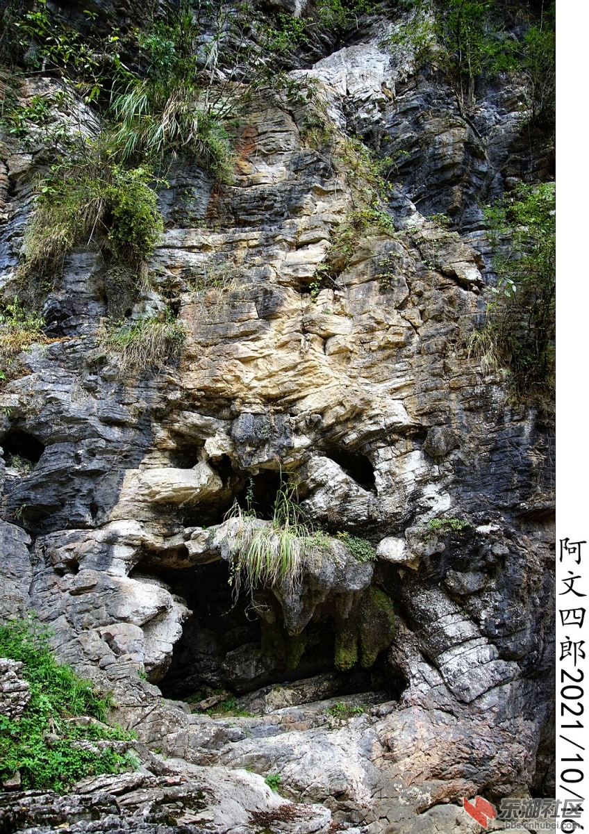 DSC00122.jpg