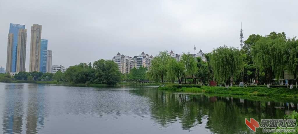 IMG_20220428_083831.jpg