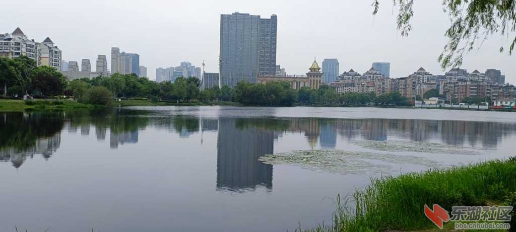 IMG_20220428_093241.jpg