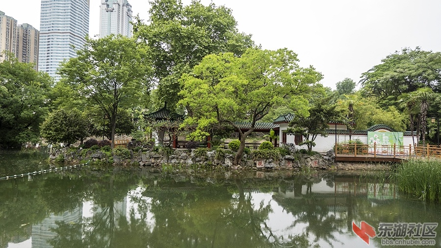 DSC00601 拷贝.jpg