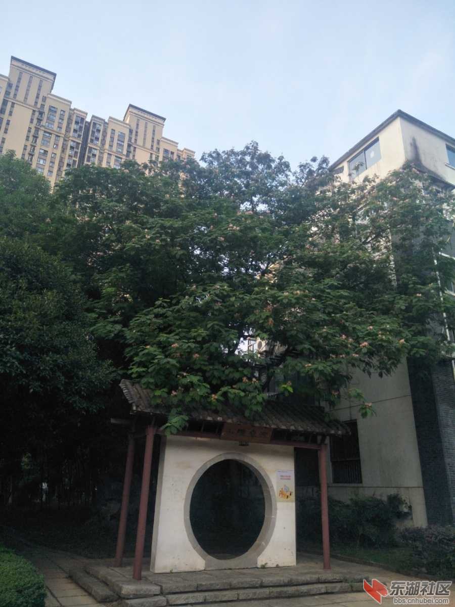 IMG20210905071718.jpg