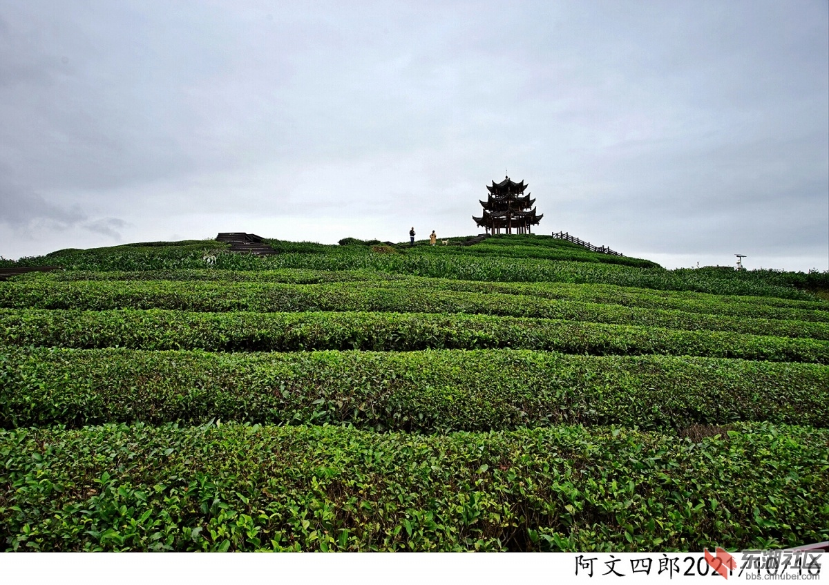 DSC00136.jpg
