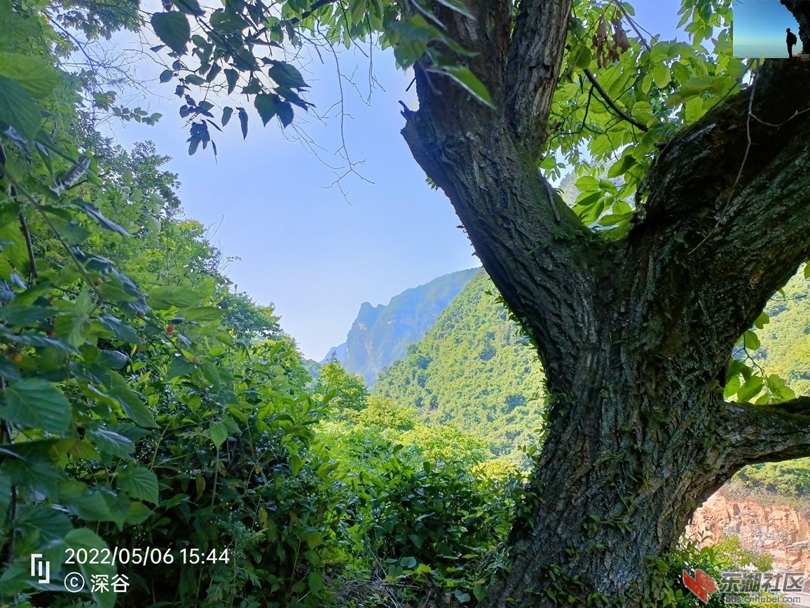 IMG20220506154451.jpg