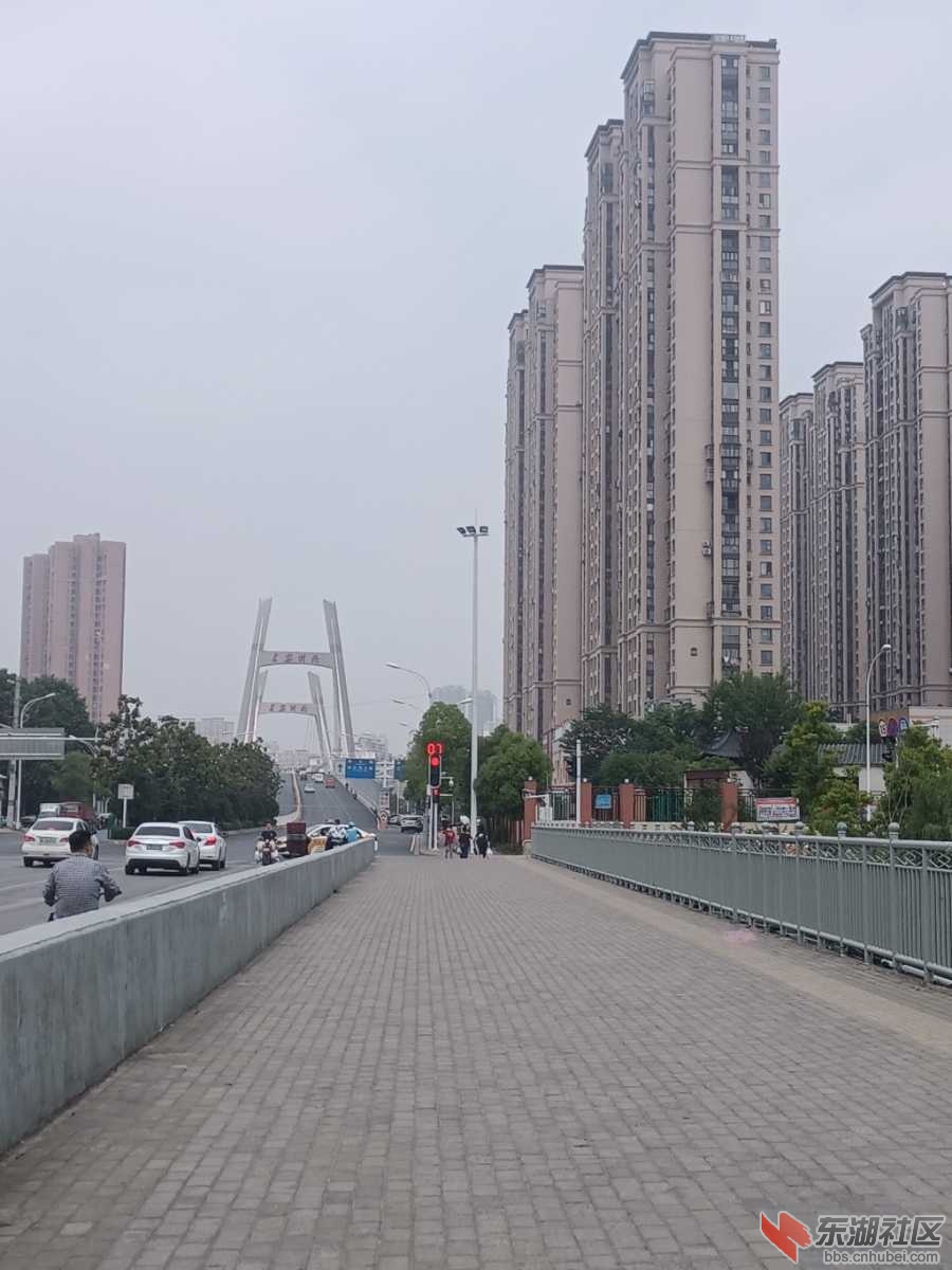 IMG_20220508_104502.jpg