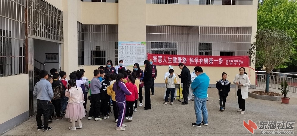 高城寺小学2.jpg