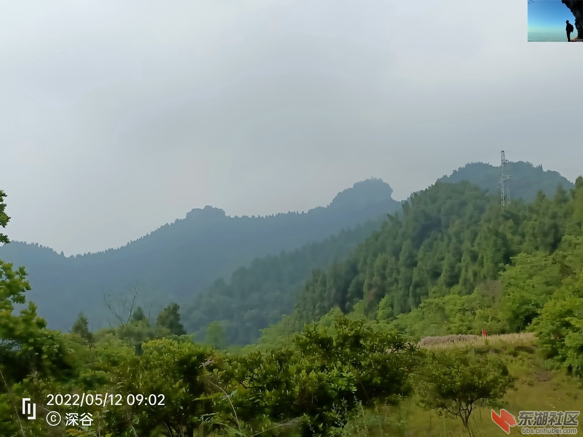 IMG20220512090206.jpg