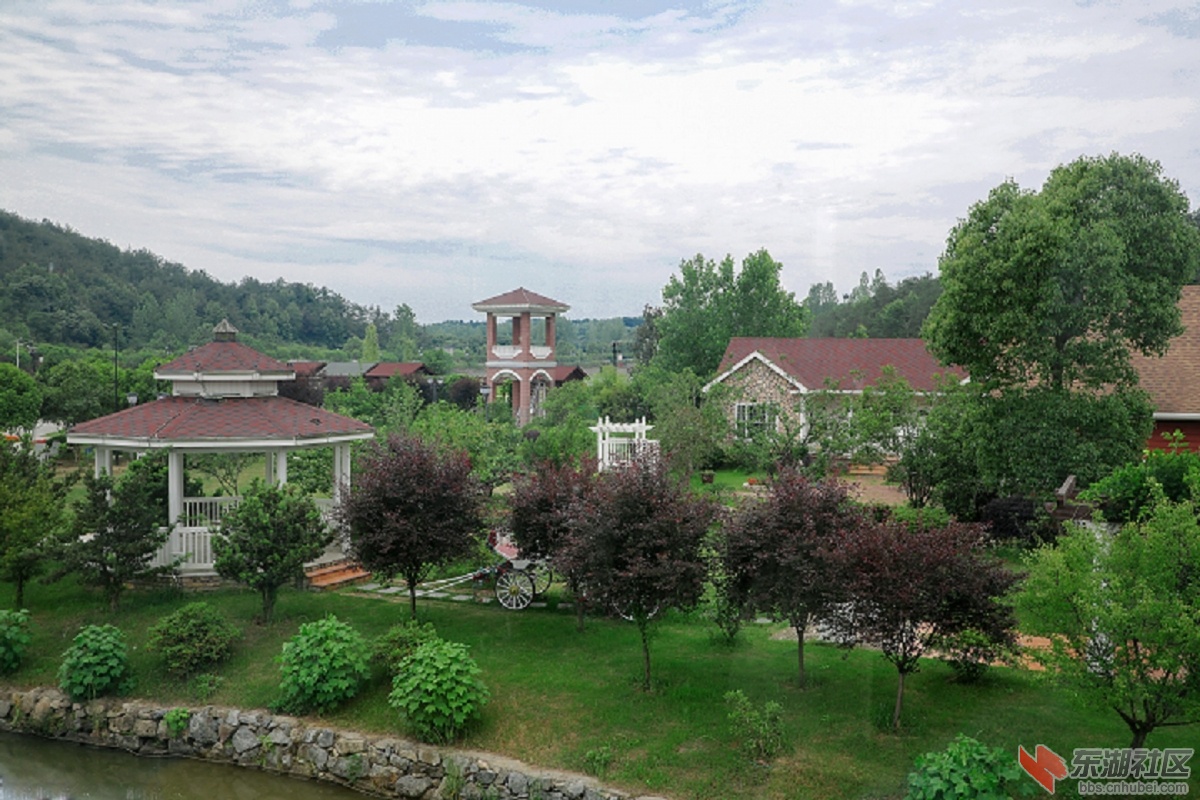 343A0231.jpg