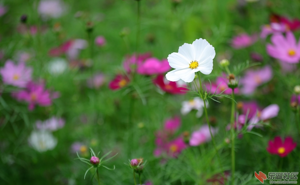 343A0414.jpg