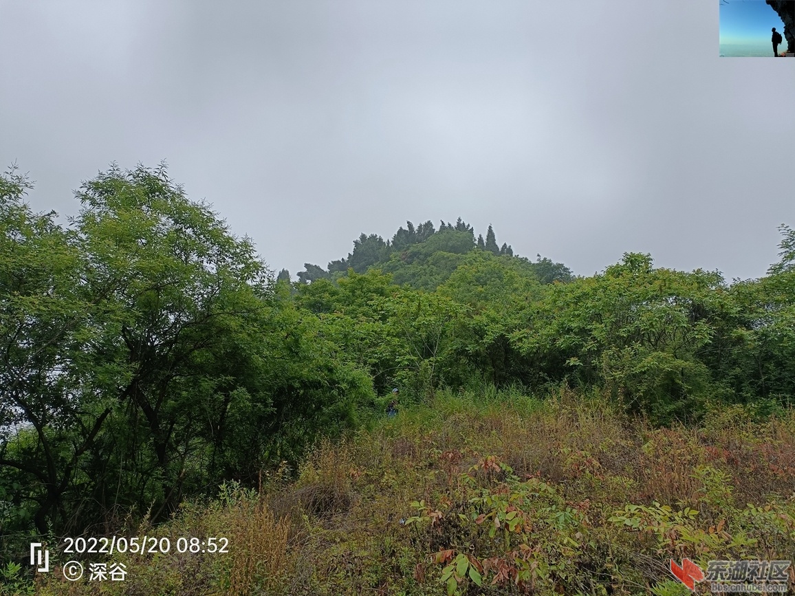IMG20220520085211.jpg