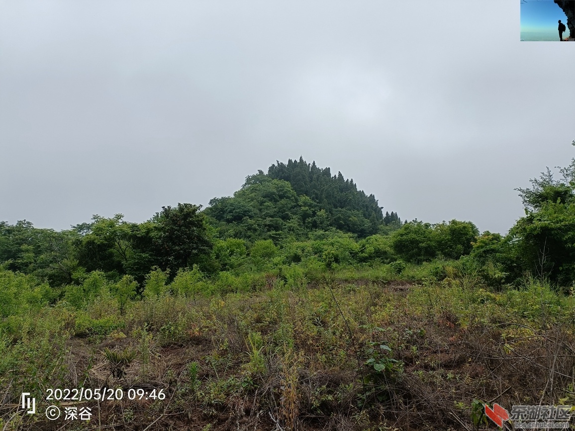 IMG20220520094620.jpg