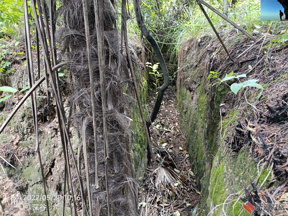IMG20220520101654.jpg