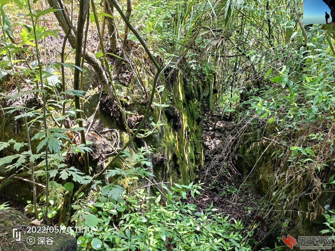 IMG20220520111057.jpg