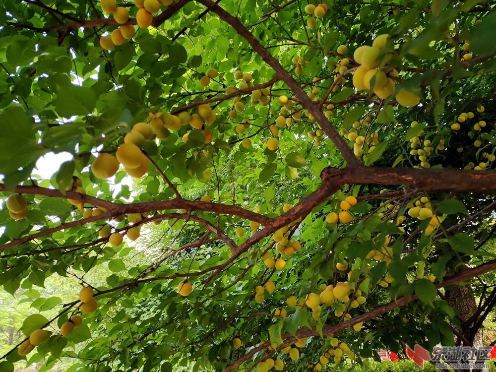 IMG_20220521_073731_副本.jpg