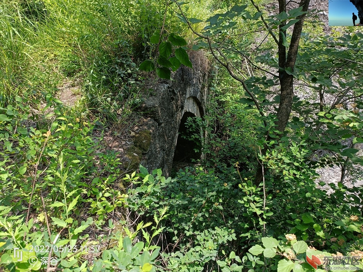IMG20220523113745.jpg