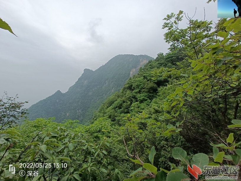 IMG20220525131029.jpg
