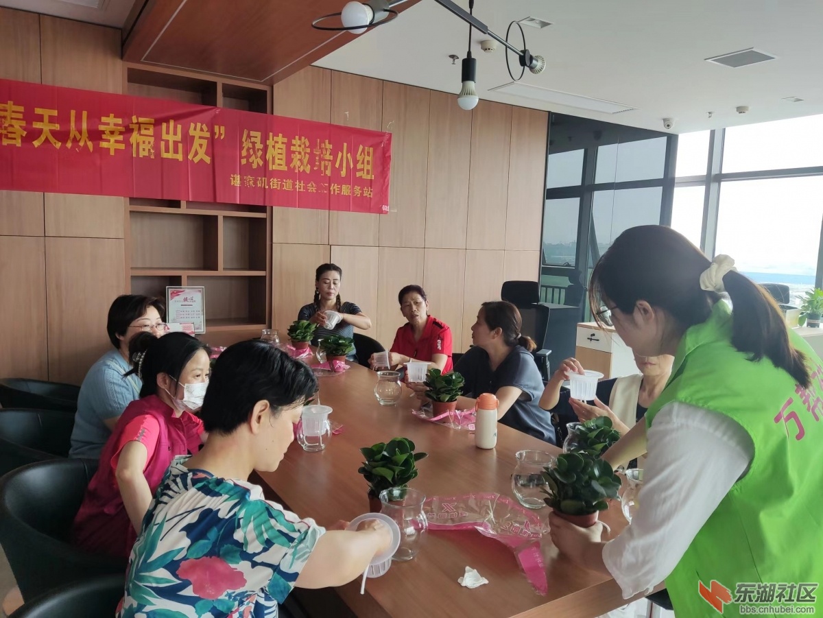 社工讲解栽培步骤.jpg