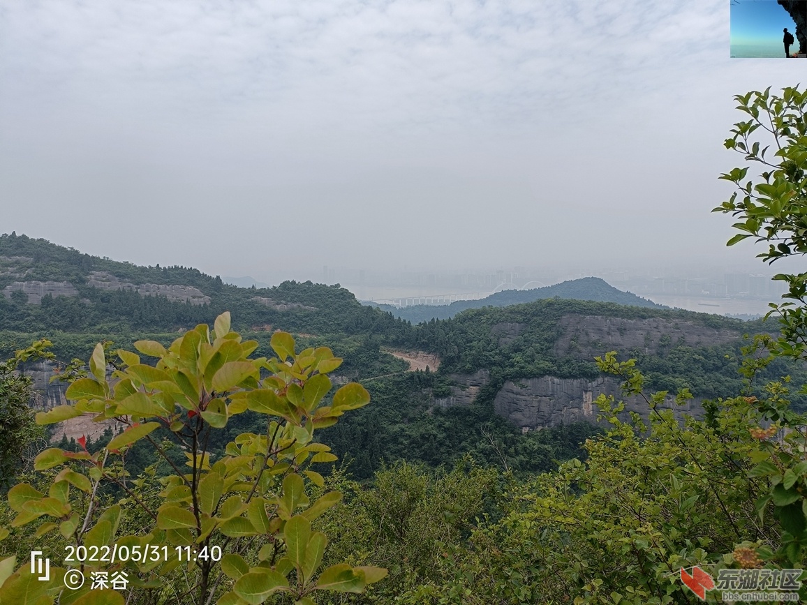 IMG20220531114023.jpg