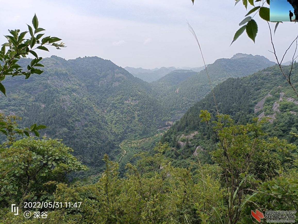 IMG20220531114755.jpg