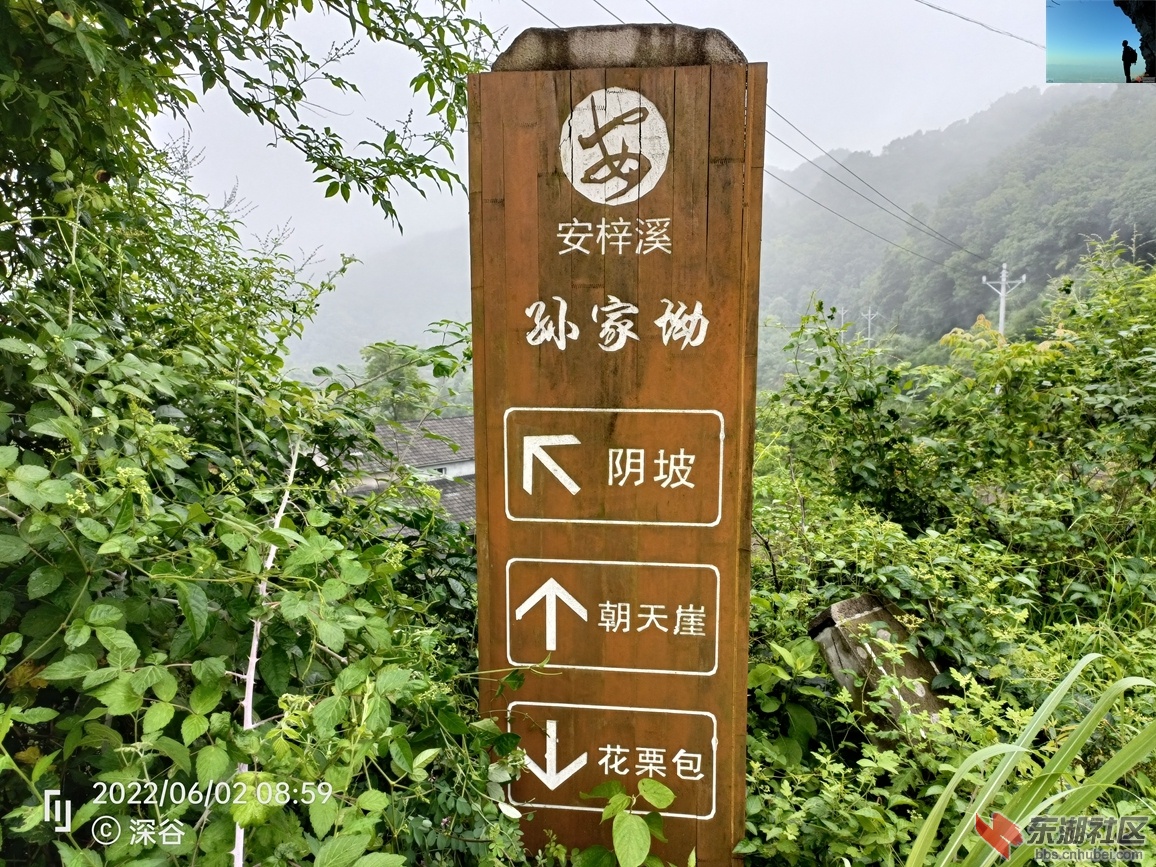 IMG20220602085950.jpg