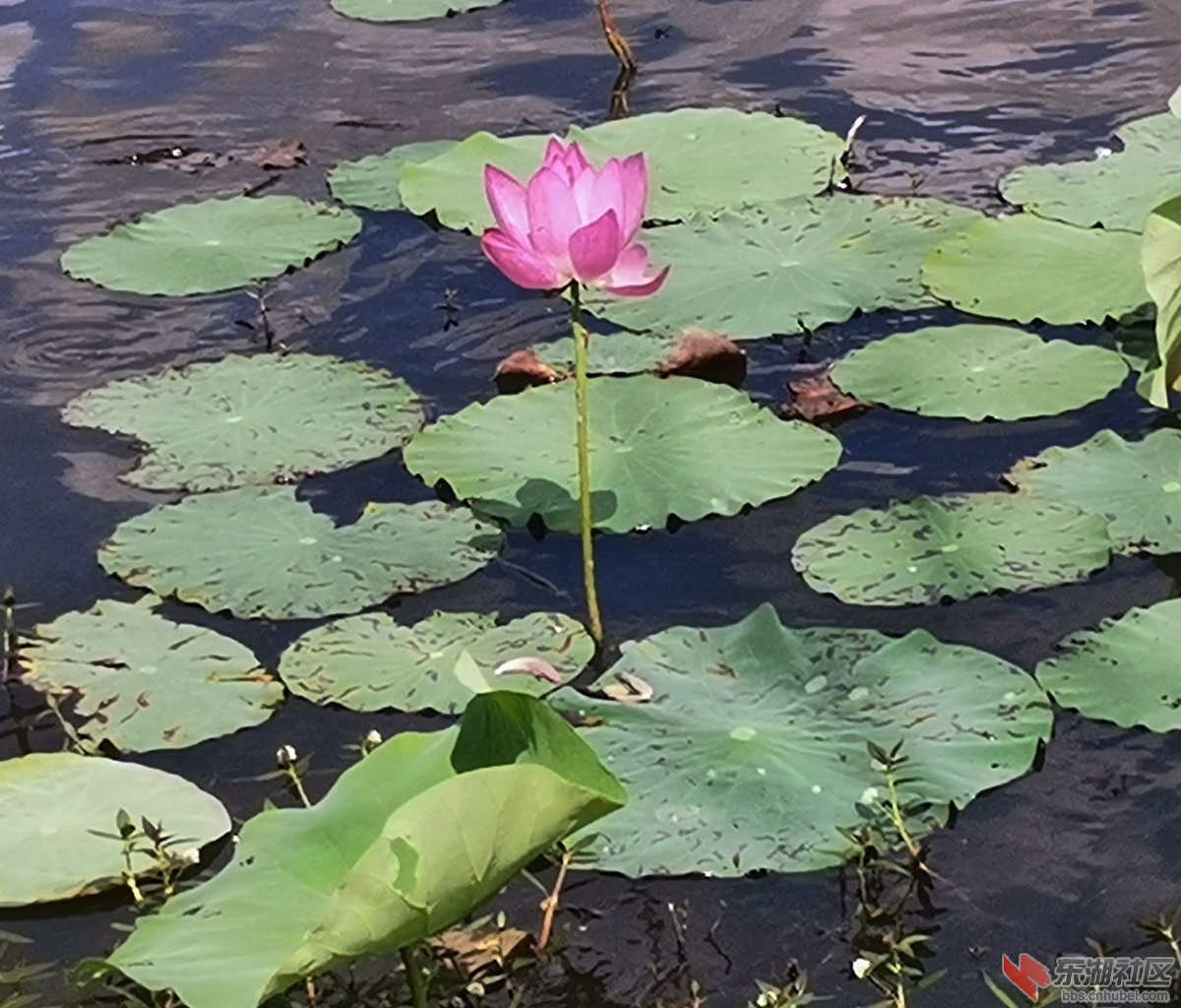 IMG_20220603_152358_副本.jpg