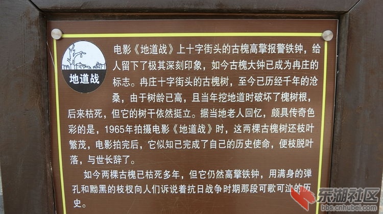 347fa3a0-c67b-11ec-88bc-1ffb84d6c90b.jpg
