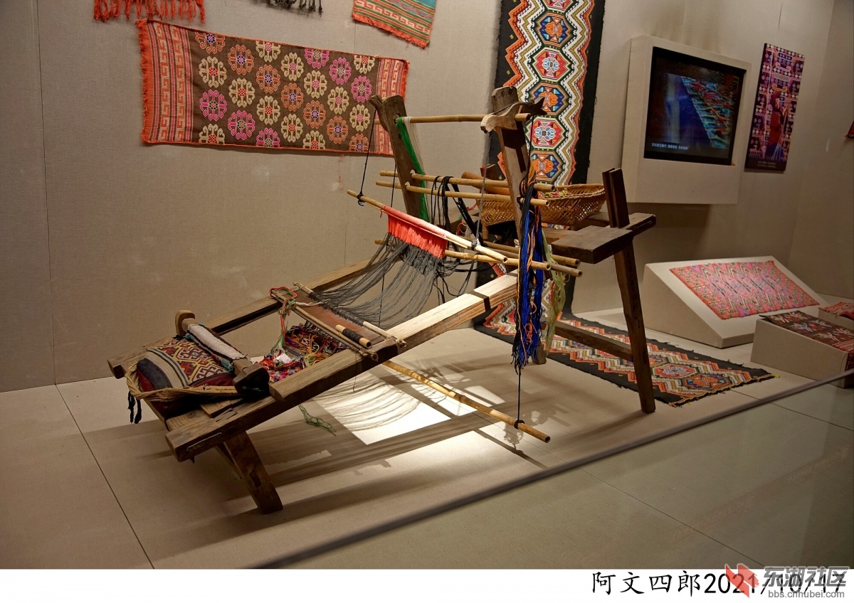 DSC00100.jpg