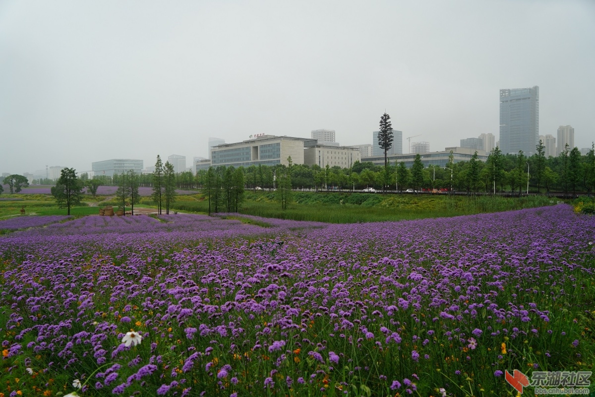 微信图片_20220613085645.jpg