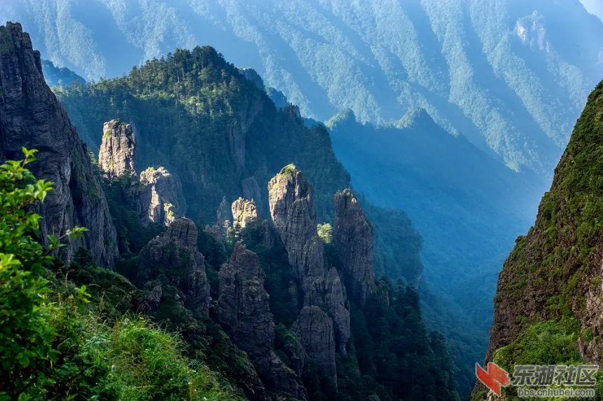 qq截图20220614085658.png
